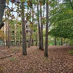 Sea & Forest - Moze Nad Morze, Strefa I Parking Gratis Apartman Międzyzdroje