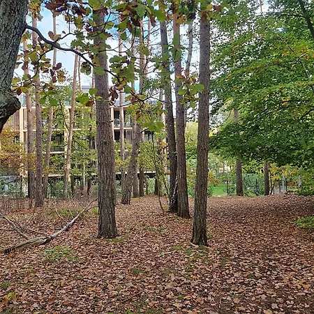Sea & Forest - Moze Nad Morze, Strefa I Parking Gratis Διαμέρισμα Miedzyzdroje