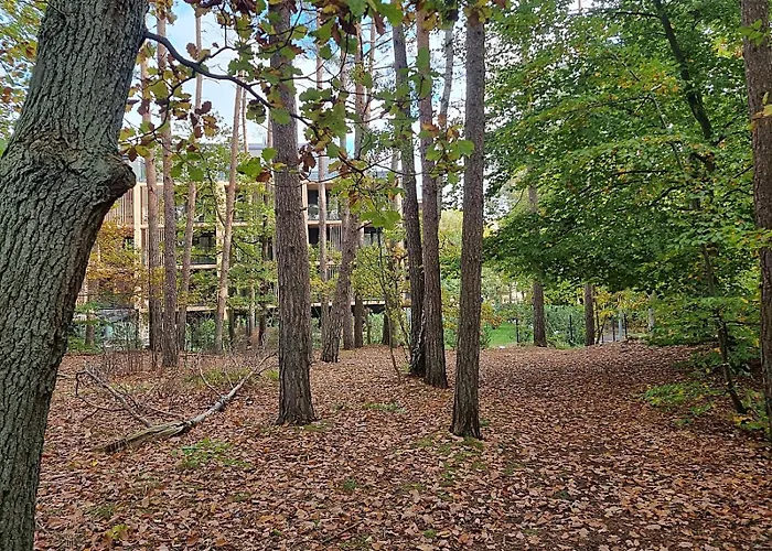 Sea & Forest - Moze Nad Morze, Strefa I Parking Gratis Apartamento Miedzyzdroje